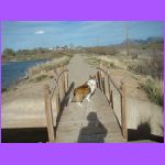 Belle on my Shadow.jpg